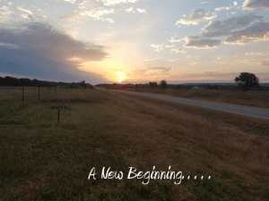 a-new-beginning-2017